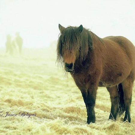 Hotel Efri-Gegnisholar Selfoss Esterno foto