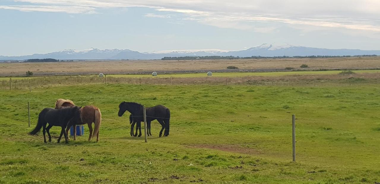 Hotel Efri-Gegnisholar Selfoss Esterno foto
