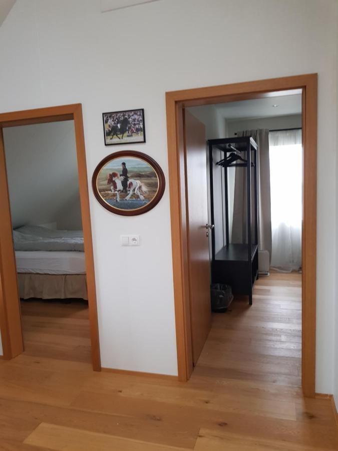 Hotel Efri-Gegnisholar Selfoss Esterno foto